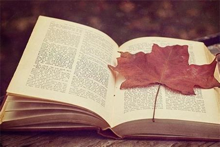 2020年浙江省岱山縣第一批緊缺專業人才招聘39人公告（含教師）