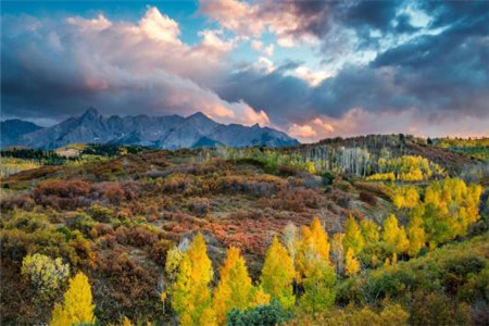 慈溪市教育局公開招聘2020年中小學和幼兒園教師106人公告